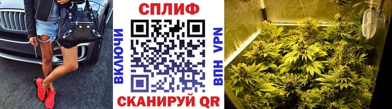 Каннабис ГИДРОПОН  Купить где  Анадырь 